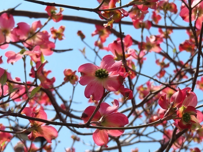 IMG_6467.JPG