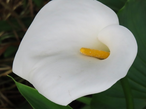 IMG_7644.JPG